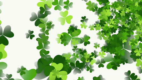 motion green shamrocks with patricks day 1