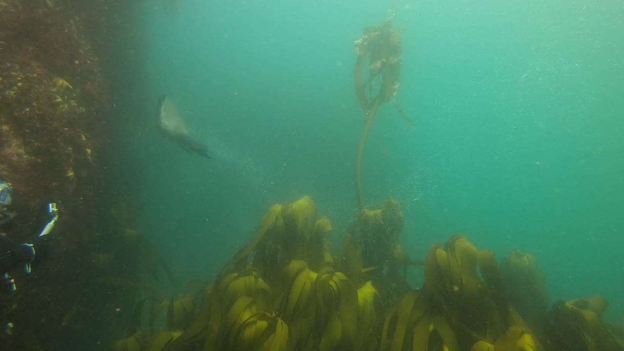 人間と自然の出会い