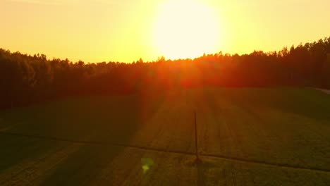 European-Forest-During-Sunset,-Exploring-Nature,-Aerial-Ascending