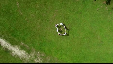 aerial shot. view on top. a group of young people dancing on green galavini holding hands in honor of the saint. outside