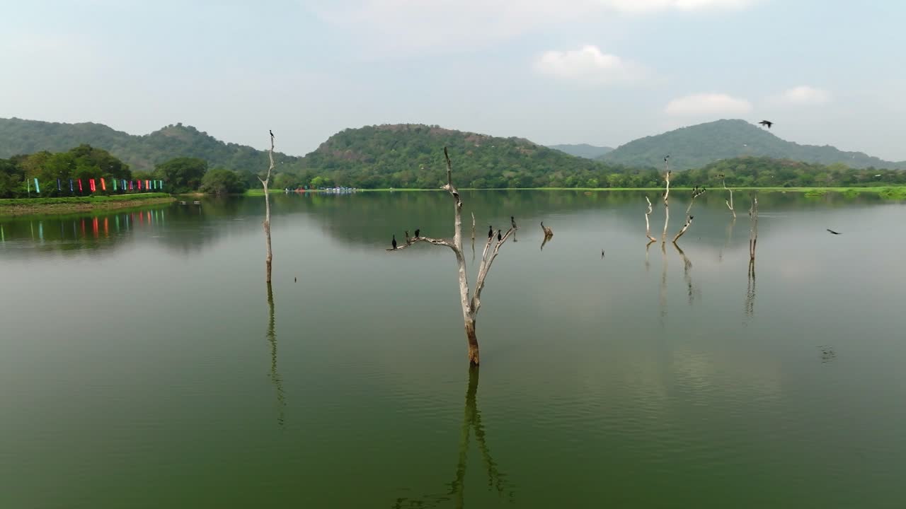 Sri Lanka wide view across still water dotted with bare tree trunks where several cormorants perch; green forested shore and rounded hills beneath patchy clouds