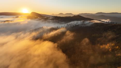 cinematic scenery in the morning during the sunset while the fog is flowing above the forest