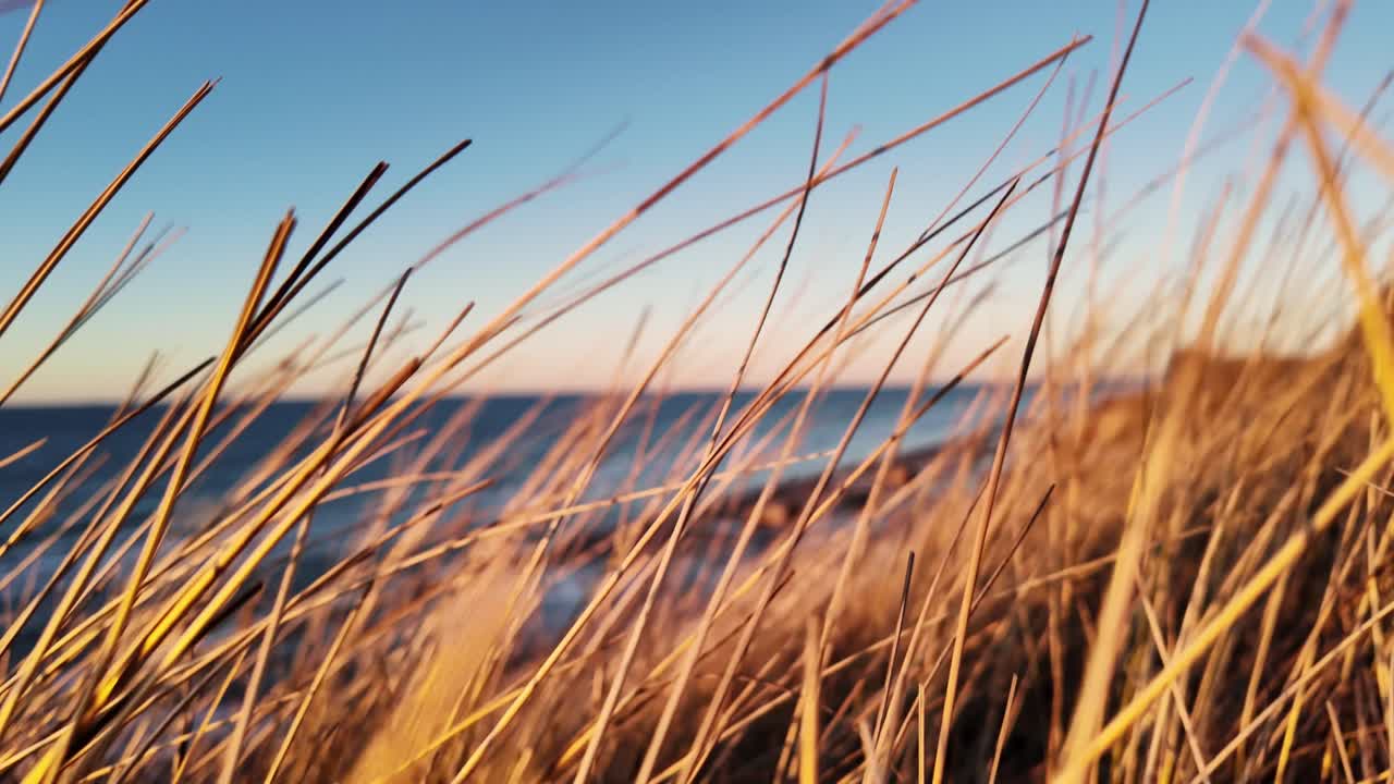 Through the vegetation growing in the dunes, old WW2 bunkers can be seen sitting on the beach, a stark reminder of the past. Denmark Europe.