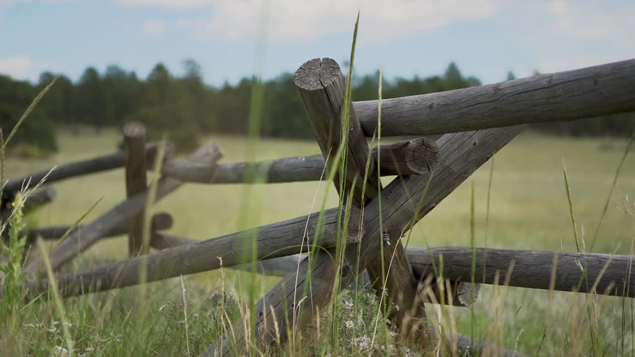 viento que sopla hierba alta frente a una cerca de montaña de madera alrededor de la granja
