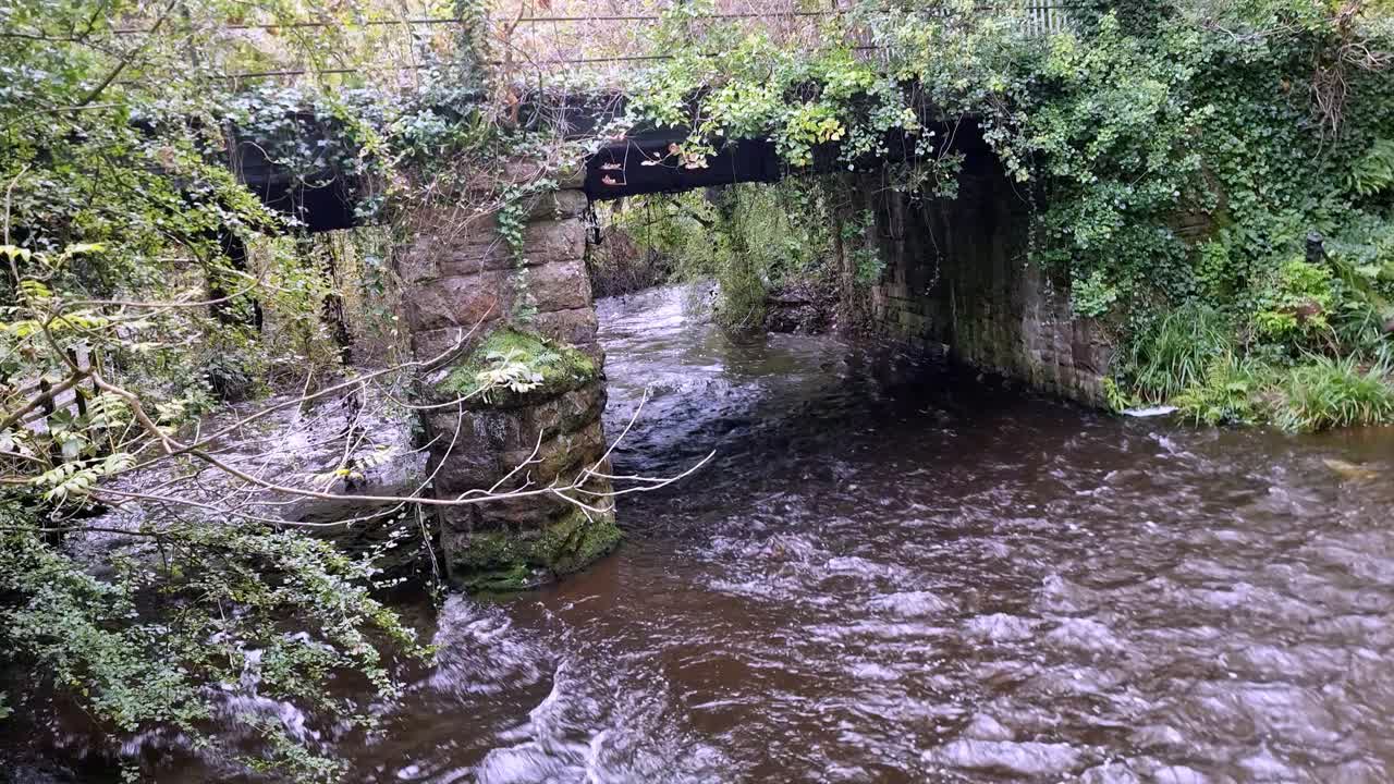 río de flujo rápido que pasa bajo el puente ferroviario de minería de piedra cubierto de follaje de bosque