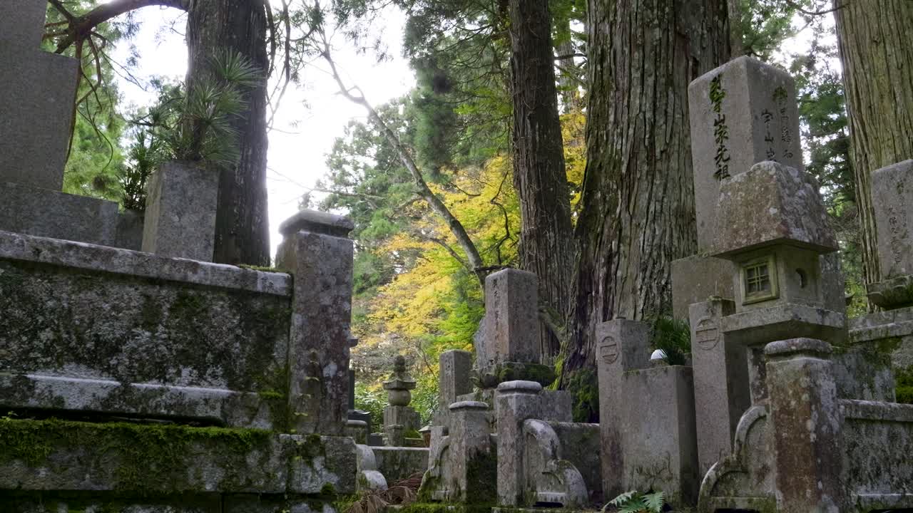 Stunning slow motion scenery at Koyasan during fall
