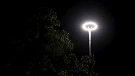 streetlight at night