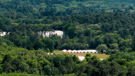 In-the-middle-of-the-forest,-a-helicopter-sprays-a-fungicide-against-insects-in-a-strawberry-plantation-near-Monpazier-in-the-Dordogne