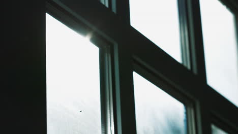 sunlight through a patterned window