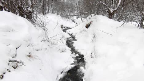a small stream of water flowing through a snowy winter landscape with trees