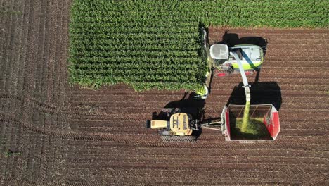 a farming operation in ne wisconsin chops and collects corn for silage-1