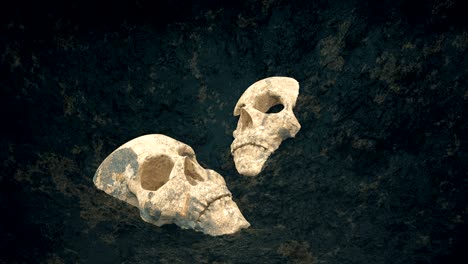 buried skulls uncovered in the soil.