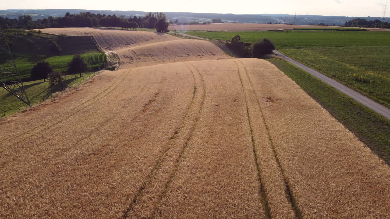 vista aérea de los campos de trigo dorado y las tierras de cultivo