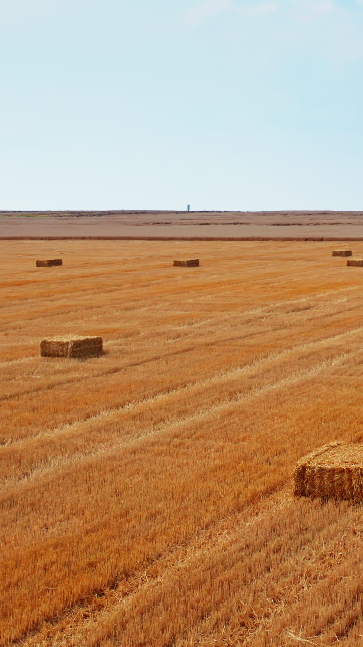Dry wheat field after harvesting. Circle over the farmland full of hay bales. Agricultural machinery at the backdrop. Vertical video