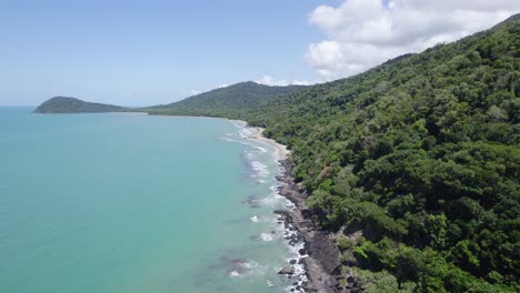 frondoso follaje de árboles en las montañas tropicales del parque nacional daintree, tribulación del cabo, qld australia