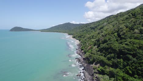 lush tree foliage in tropical mountains of daintree national park, cape tribulation, qld australia