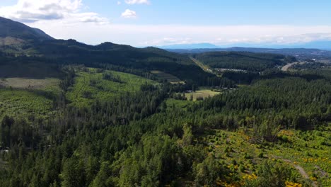 4k drone flying slowly above the extension ridge area near nanaimo on vancouver island