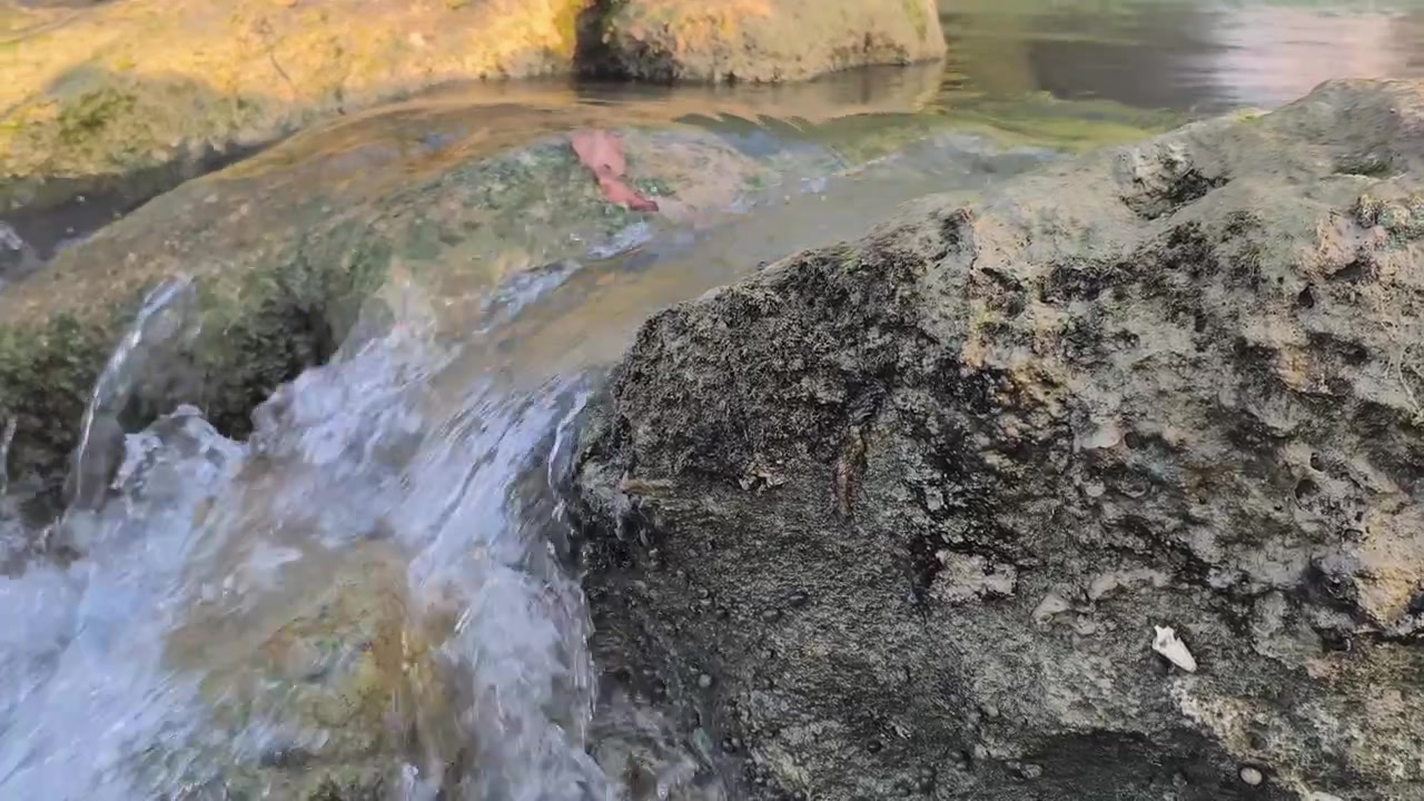Air Jernih Mengalir di Atas Bebatuan di Sungai Alami