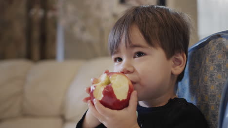 Asian-boy-eats-a-big-red-apple,-sits-in-a-feeding-chair