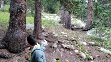 guy watches deer pass in forest in colorado