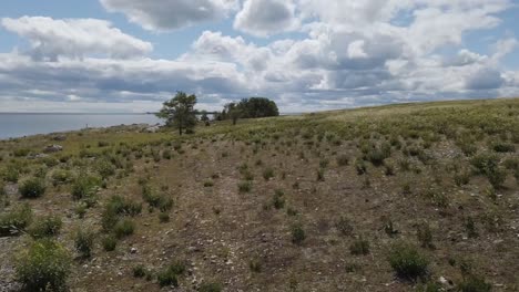 moving hyperlapse of gotland island coastline, sweden. baltic sea in the distance