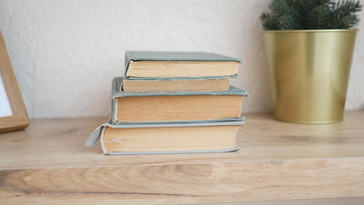 Books on a Wooden Shelf with Christmas Decor