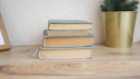 books on a wooden shelf with christmas decor