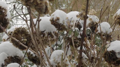 primera tormenta de nieve seria del invierno este año-2021, en el reino unido aquí en oakham en el condado de rutland
