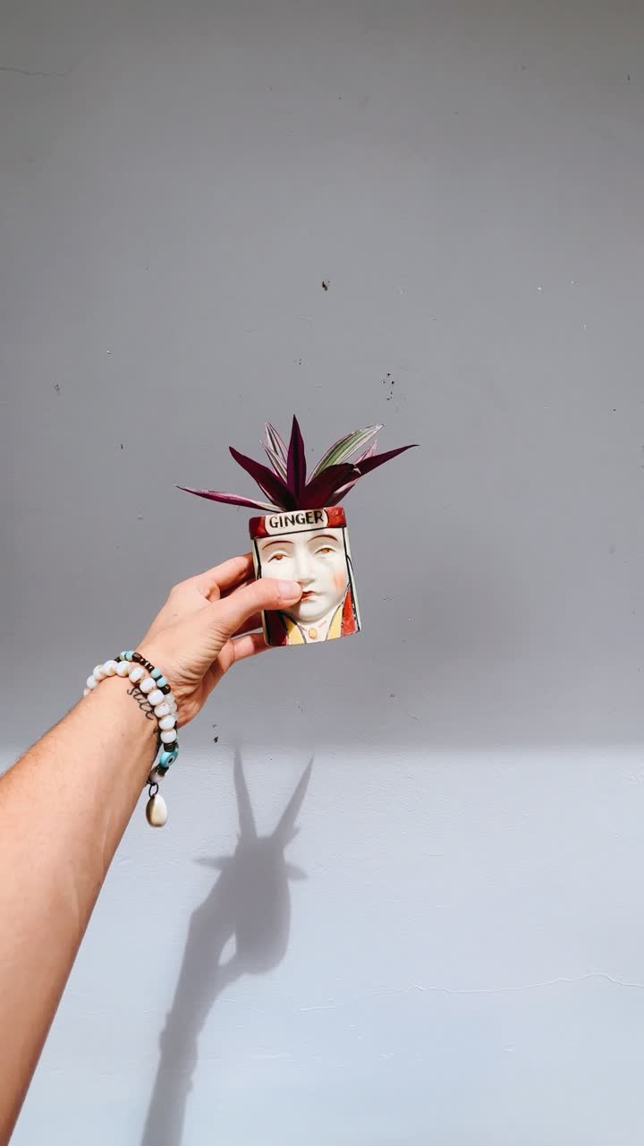 세라 얼굴 모양의 비 에 장식 된 생강 식물 을 들고 있는 손