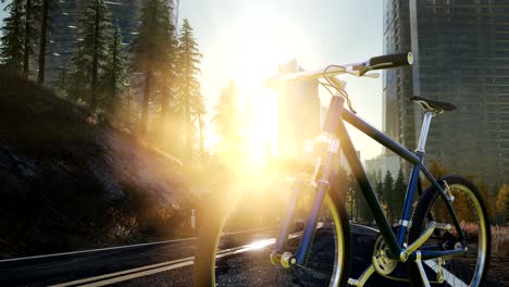 City-bicycle-on-the-road-at-sunset