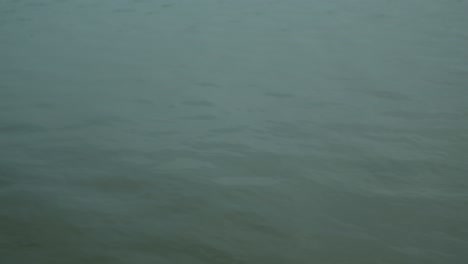 An-Indian-lake-with-calm-water-waves-that-create-a-mesmerizing-reflection-of-the-surrounding-natural-beauty