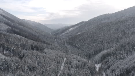 Snowy-forests-covering-a-deep-mountain-valley,winter-landscape,Czechia