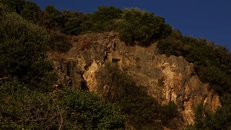 Bunker-hidden-on-olive-hill-for-military-defense-during-the-communist-regime-in-Albania,-cement-construction-on-seaside