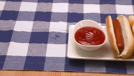 Plate-of-hot-dogs-with-ketchup-on-the-side