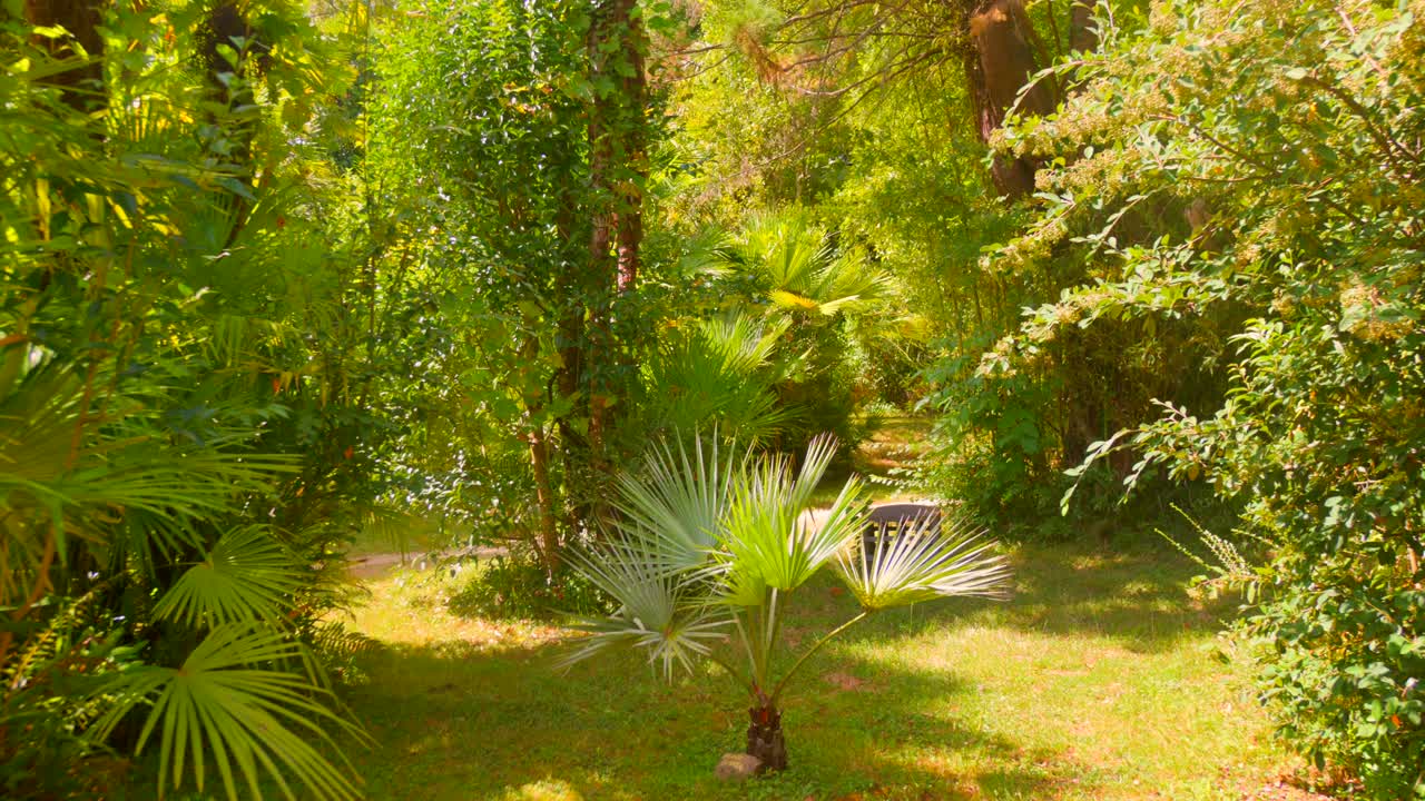 Random natural location with plants and greenery under natural daylight, creating a simple nature background