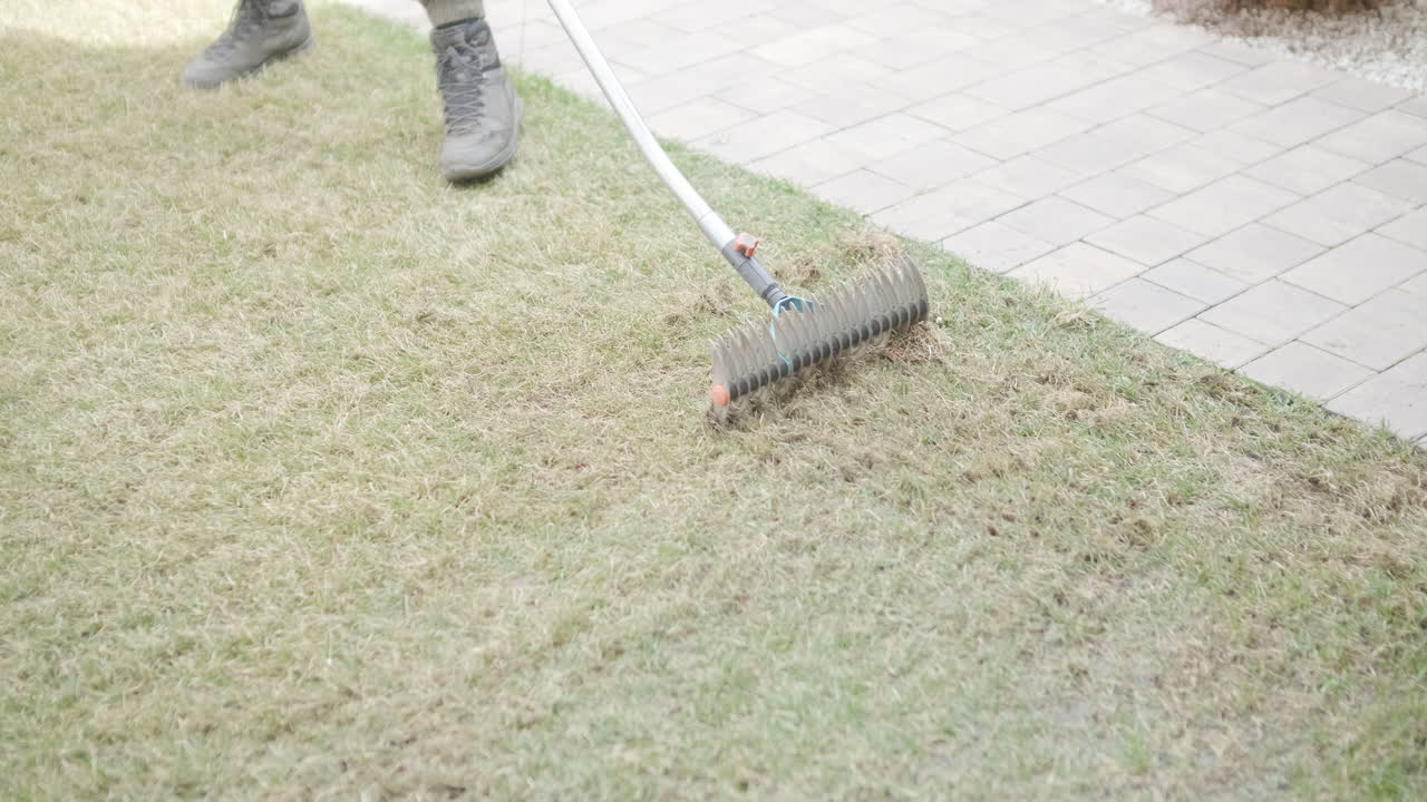 Person Raking Dead Grass from a Lawn in a Garden