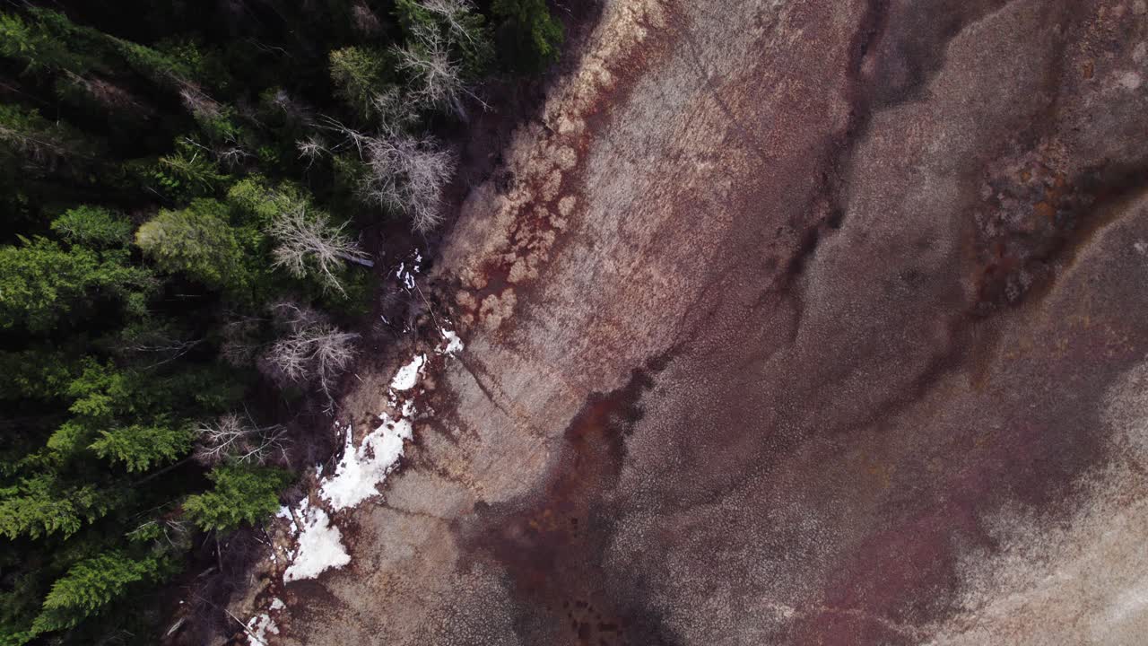 bosque de pinos aéreos junto a la costa de color marrón rojizo con nieve durante la tarde en st