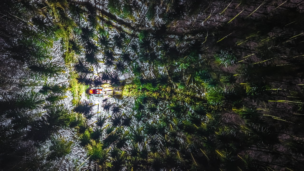 Top-down night aerial time-lapse of illuminated forestry harvester working alone among snow-dusted pine trees in dark Latvian forest, Baltic region