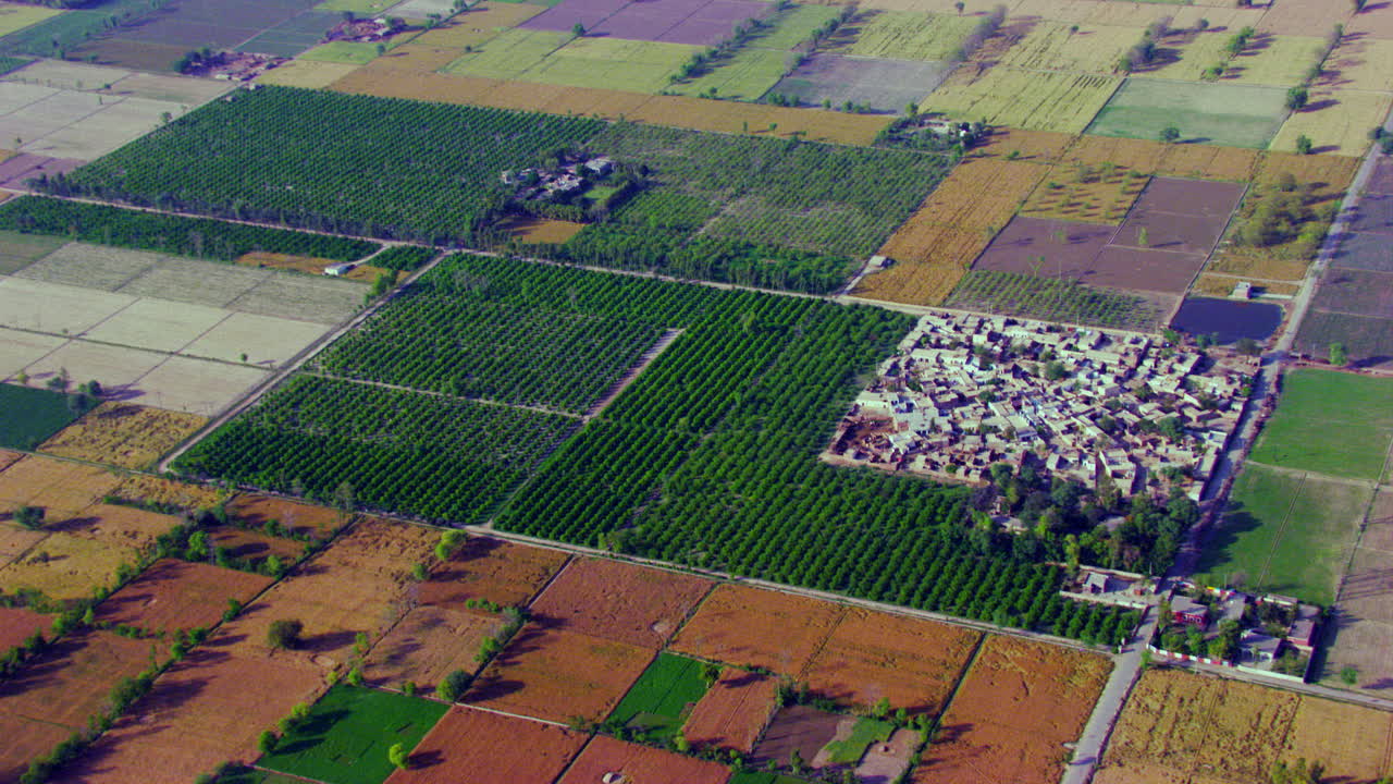 Aerial view of farm land and a small farming community in Oregon, Agricultural crops growing on farmland, India