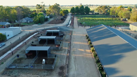 sobrevuelo de drones de la granja de caballos