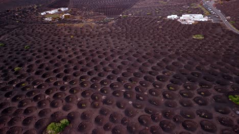 la geria is a unique wine-growing region in lanzarote, part of the canary islands, spain, known for its striking landscape shaped by volcanic activity.