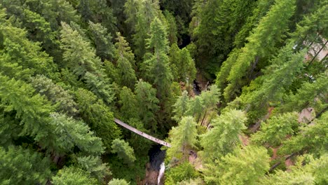 aerial flyover lynn canyon suspension bridge, vancouver, bc, canada