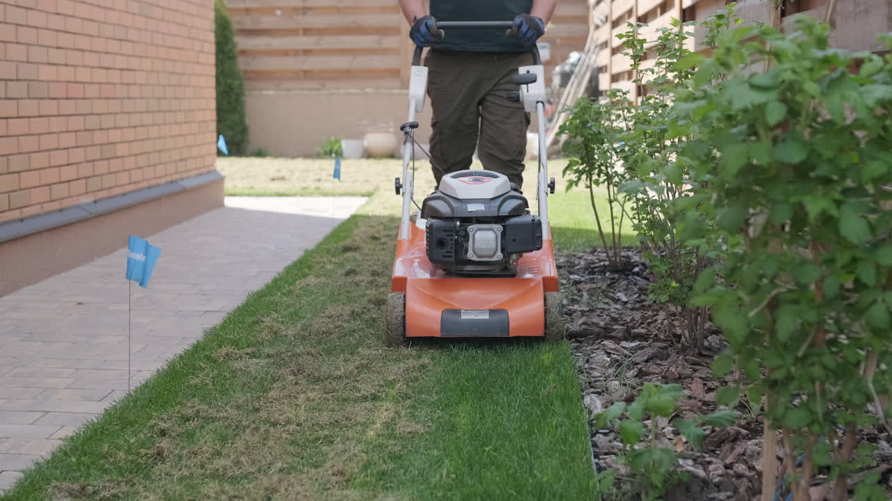 Man Scarifying Lawn in Backyard for Healthy Grass