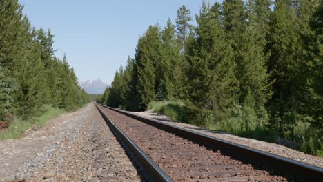 Train tracks stretch through forest with mountains in background on sunny day