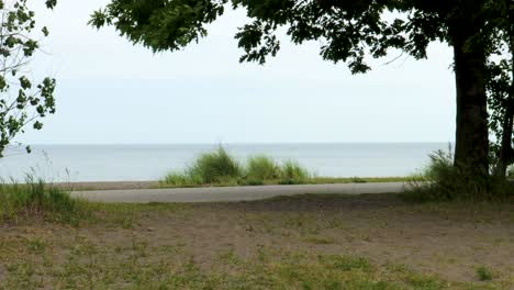 a serene walkway overlooks the calm water of an inland lake