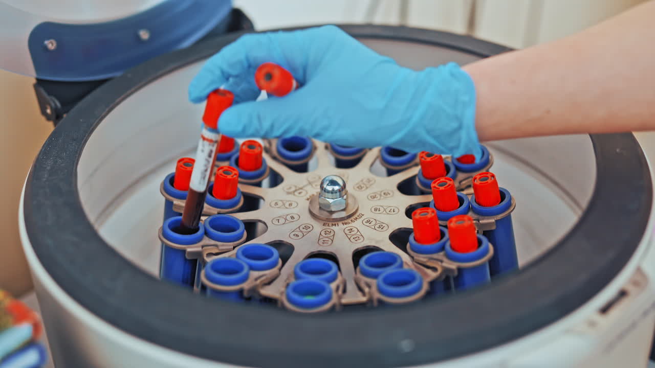 Female's hand in blue glove putting blood samples into a centrifuge in laboratory. Woman researcher is placing test tubes in the special machine.