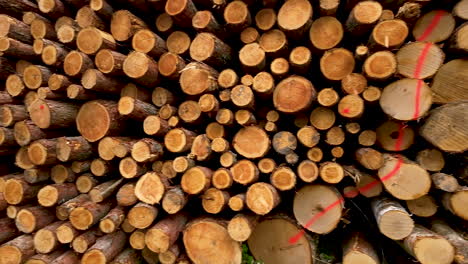 pilas de madera en bruto de troncos de árboles talados para el comercio de madera