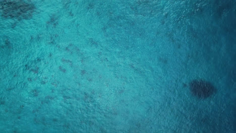 aerial flyover above blue tropical ocean water