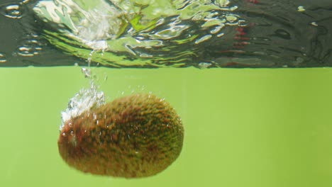 water splashing on green background with plant
