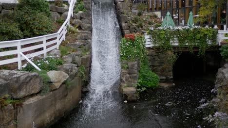 a small waterfall runs beside a patio and flowers